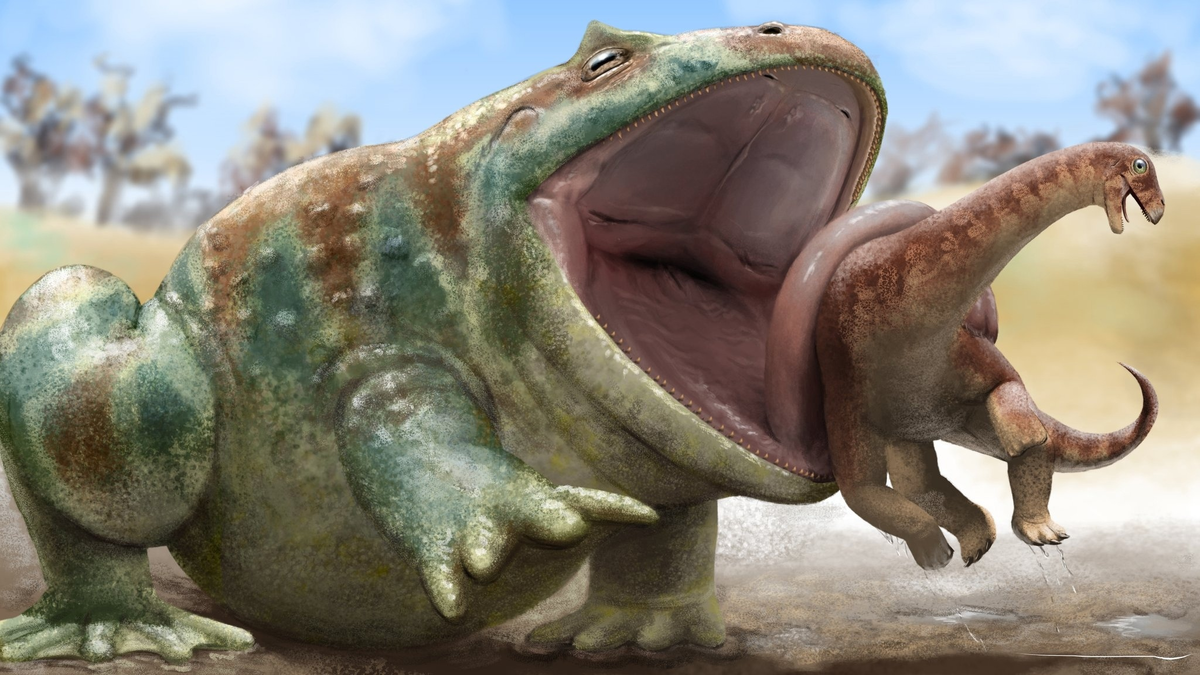 Когда съел растишку. Нет, не йогурт, а того самого динозаврика из рекламы. 