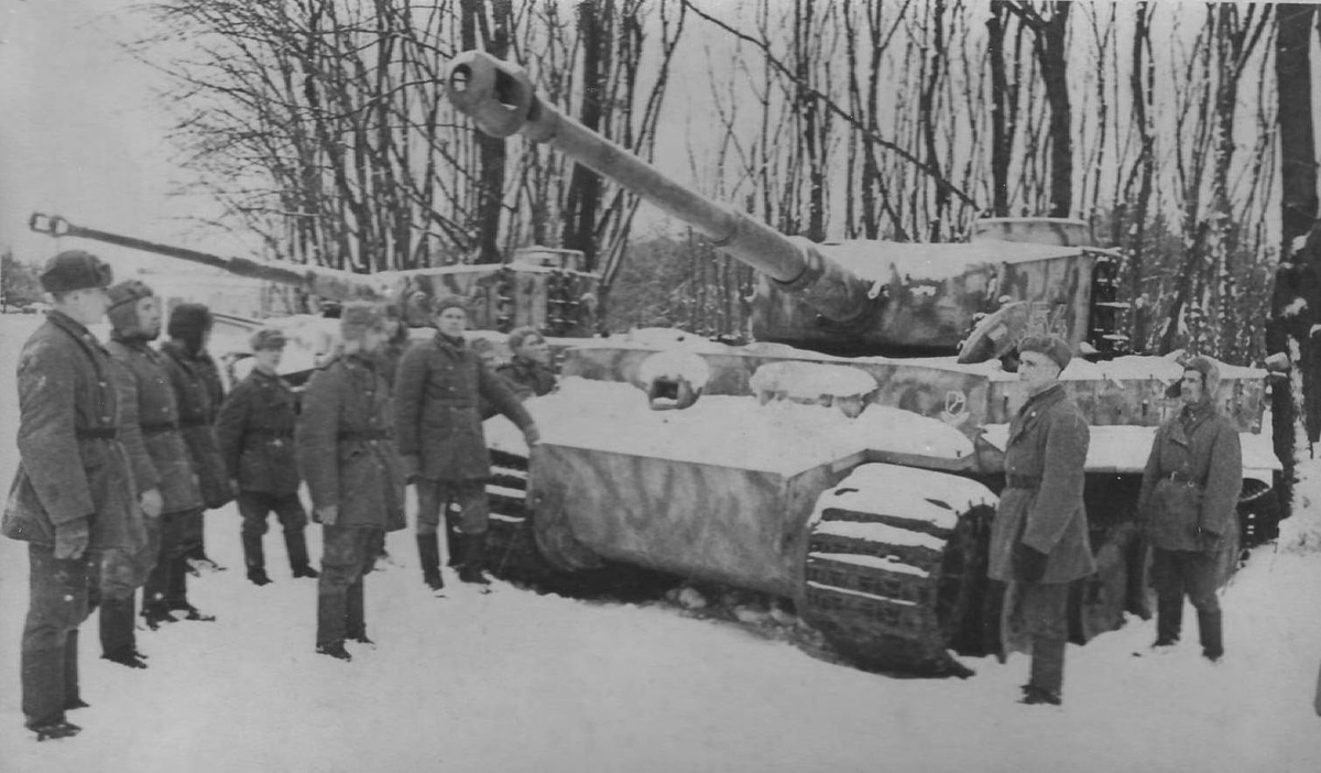 Источник фото: яндекс картинки