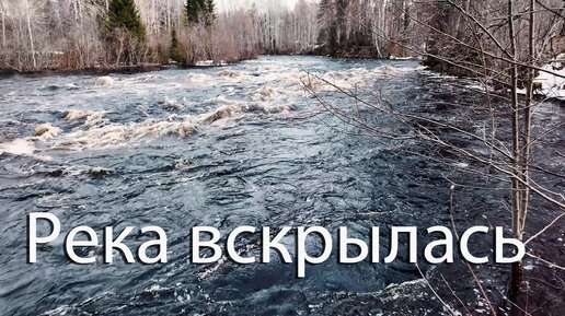 Карелия. Река вскрылась