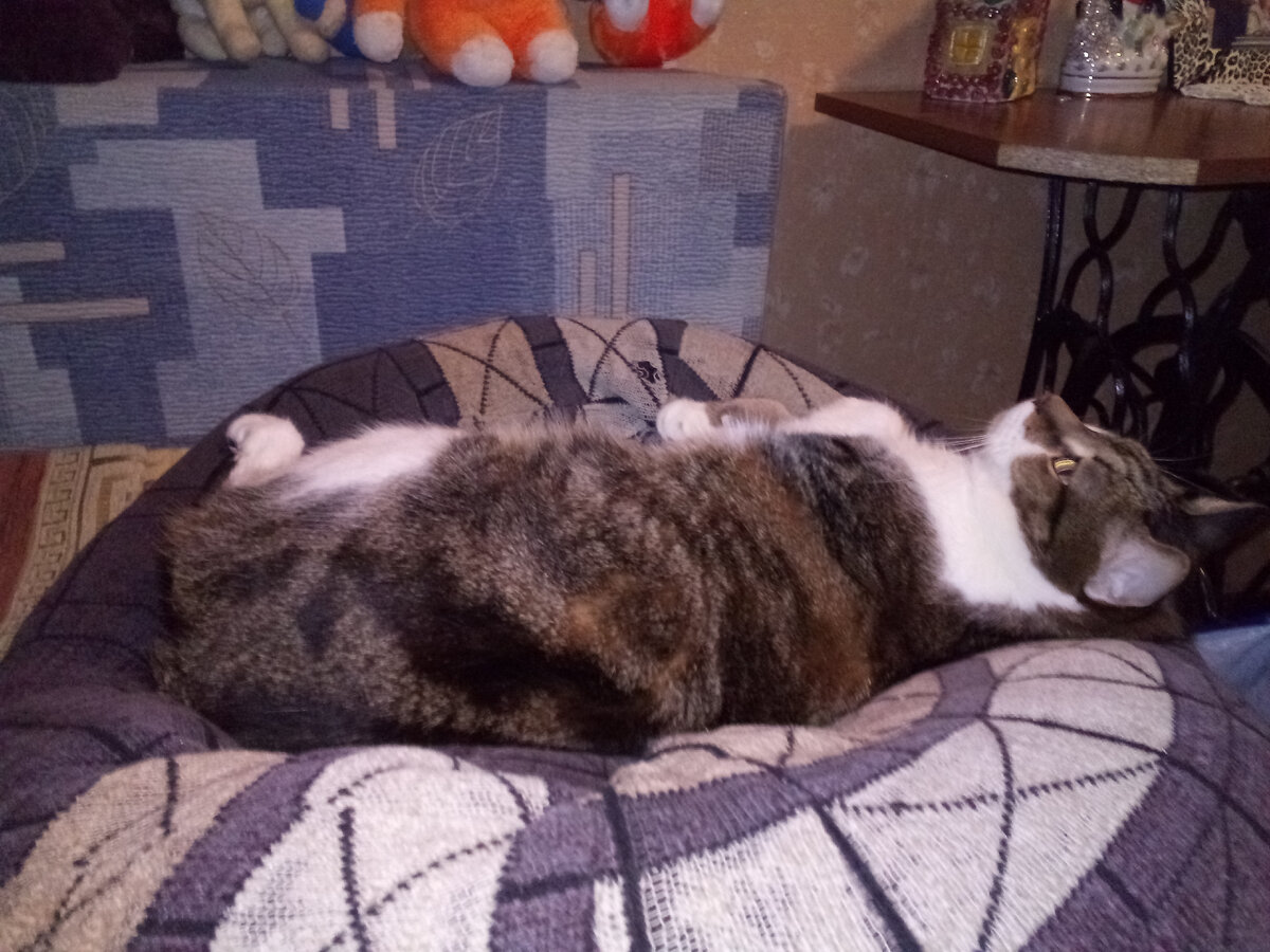 Почувствовали запах дыма в квартире | Пастила | Дзен