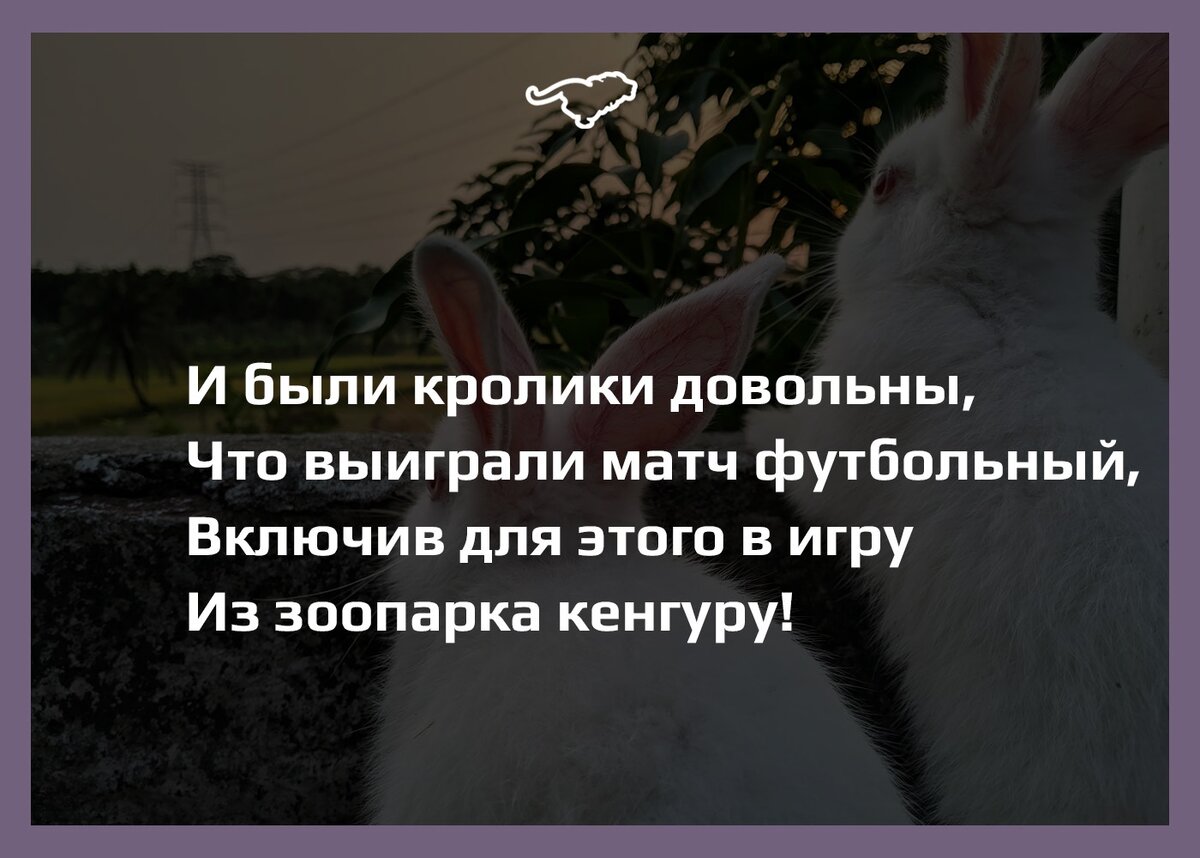 Кролики и зайцы – это не просто спортивная басня | Я бегу 🧡 Кросс в  Петергофе | Дзен