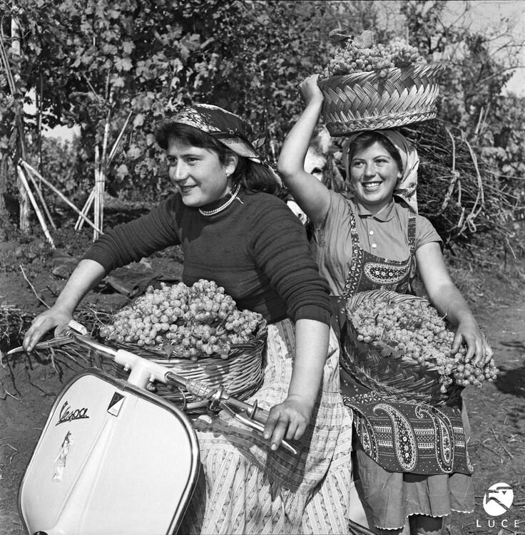 Девушки на Веспе