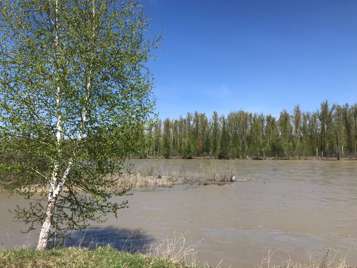 Катунь. Май 2024.