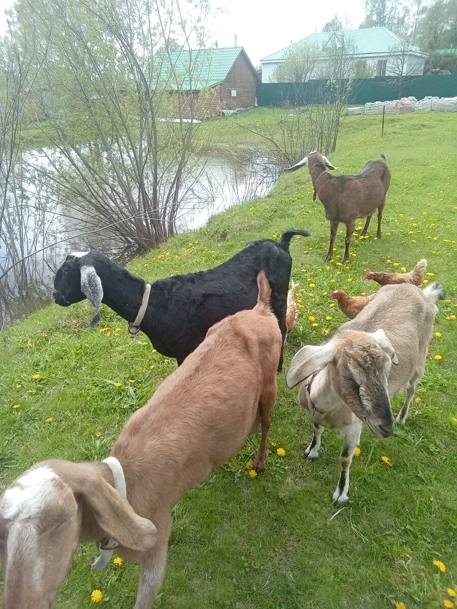 Фото автора. 