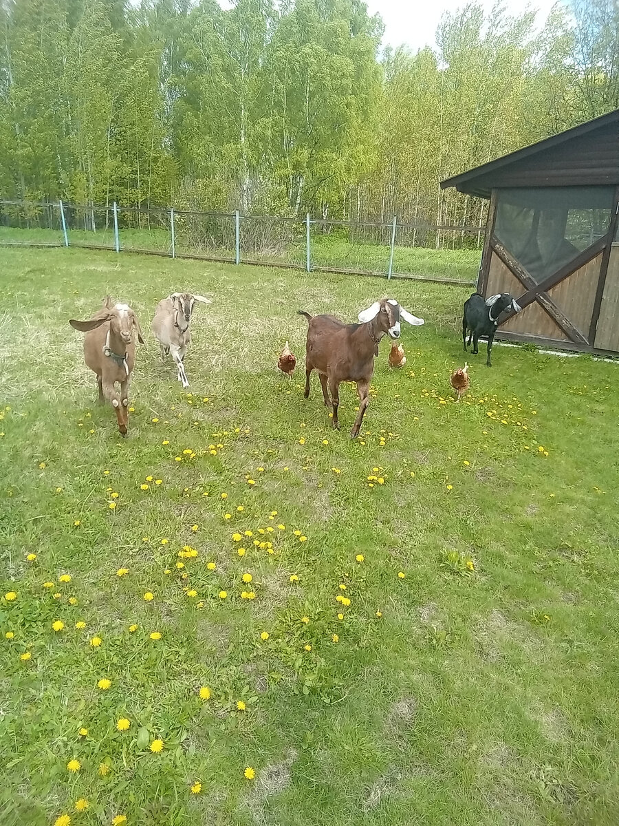 Фото автора. 