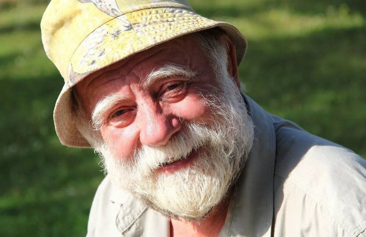 Картинка из интернета для иллюстрации