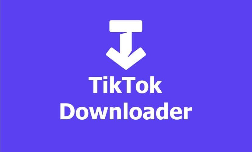 Downloader отзывы. Ssstik
