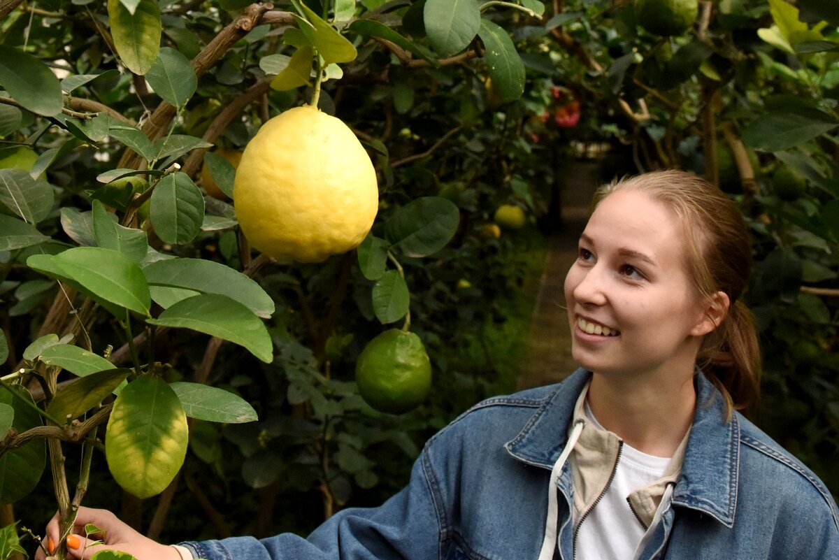  📷 📷 📷 📷 📷 📷   ТОП продуктов для поддержания печени при приеме лекарств