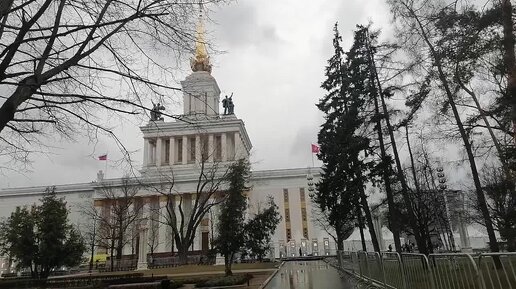 Несколько регионов с выставки 