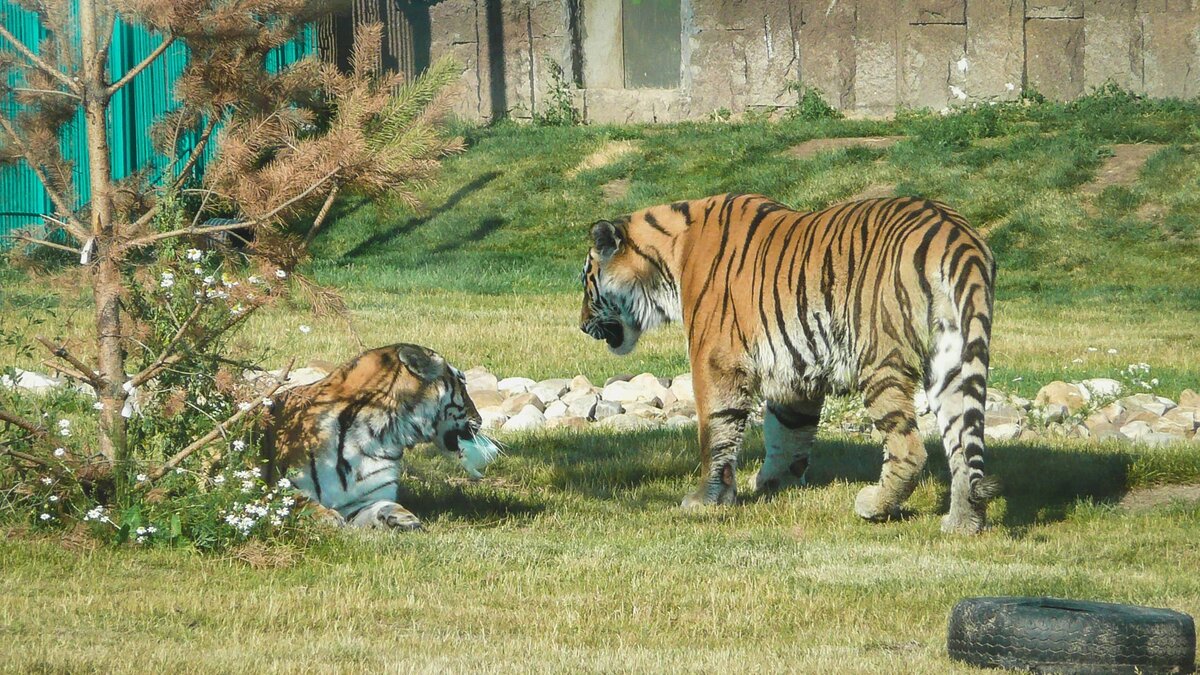     Источник: 1MI