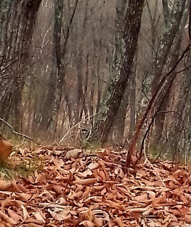     Источник: vostokmedia.com