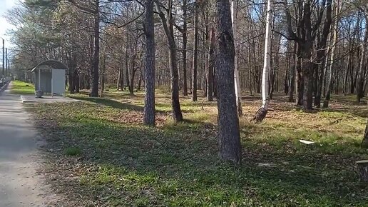 Старое кладбище Сорвали в Выборге.