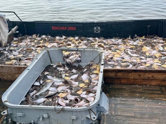    Фото: Администрация Усть-Камчатского муниципального района