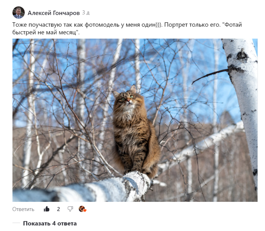 Скриншот «Портрета» участника флешмоба Алексея Гончарова «Весенний бал».