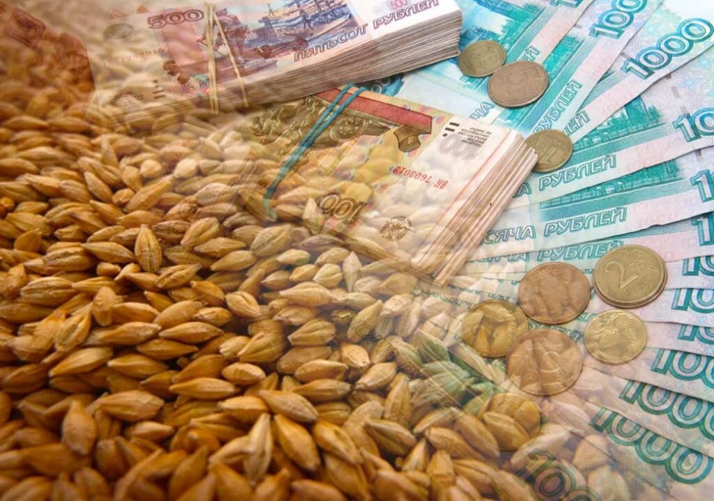   Цены на зерно. Фото: agropraktika Анна Камалова