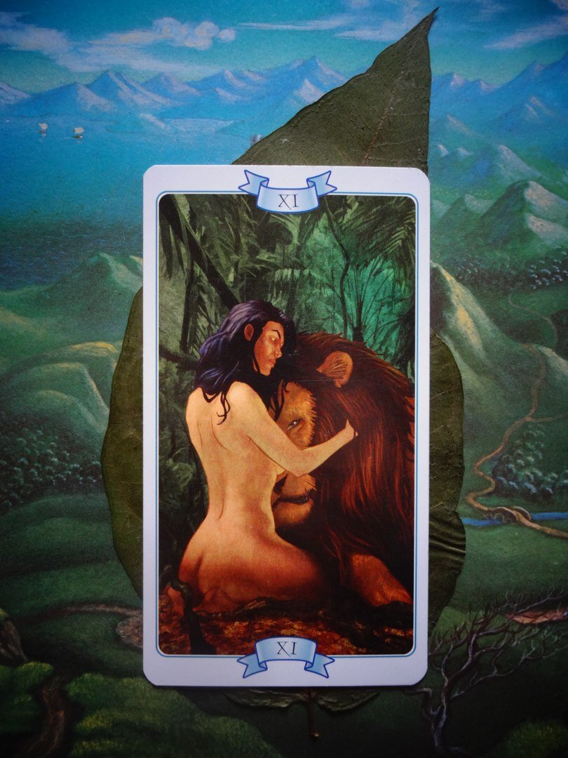 Сила Таро Закон притяжения