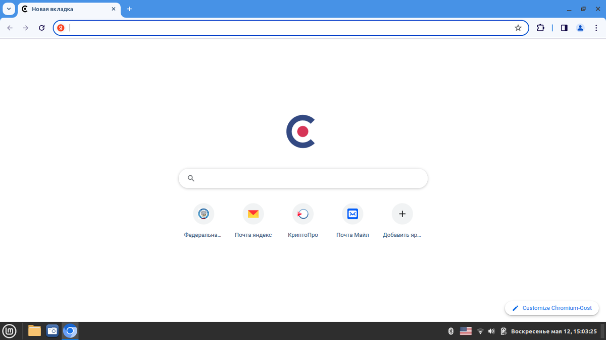 Стартовая страница браузера Chromium-Gost на ПК