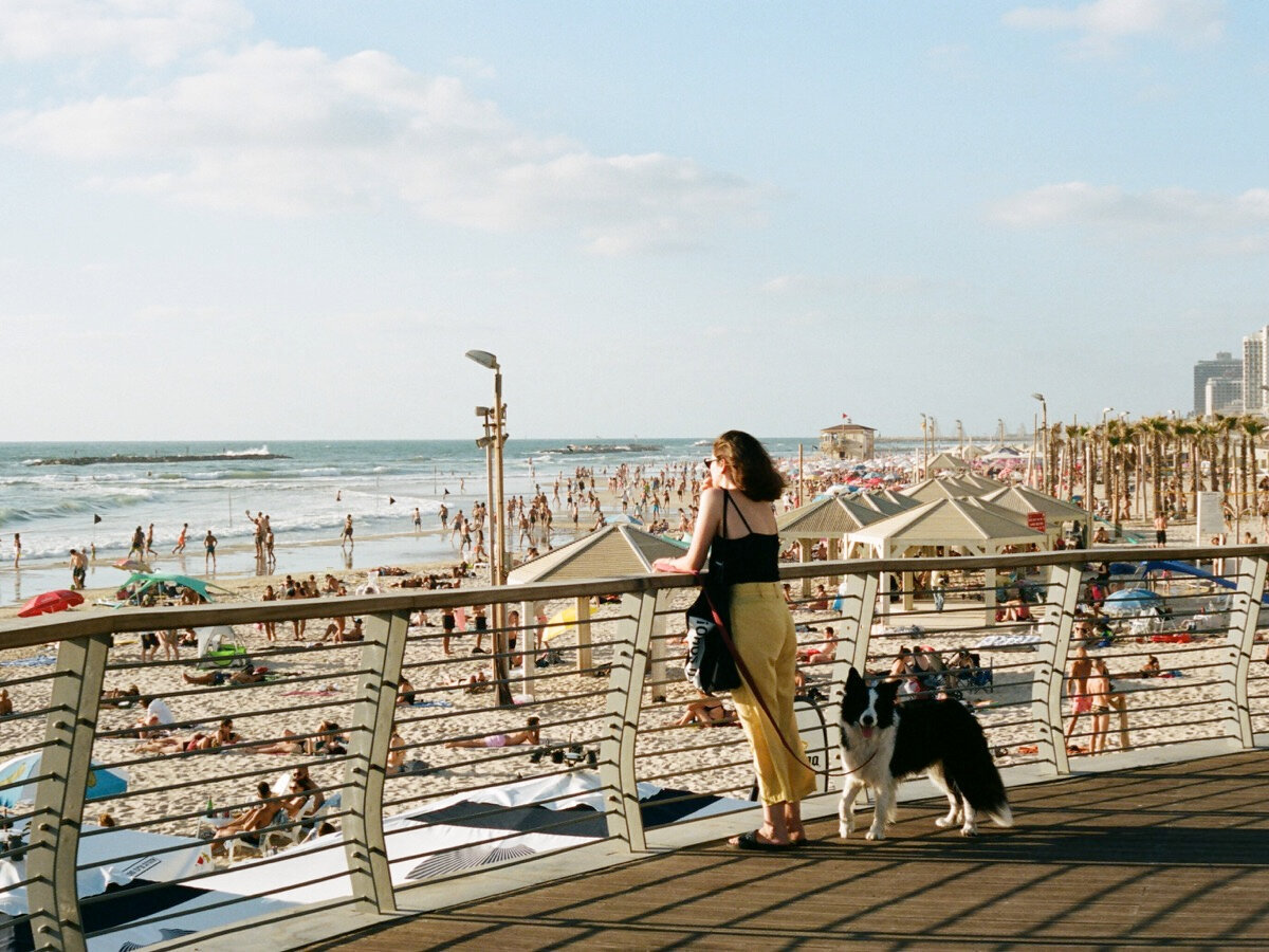 Стилизованная под нос корабля лестница в маленьком парке Лондон — мемориал судам, сто лет назад доставлявшим в Палестину первых поселенцев. Источник: Yoav Hornung / kx1DeL3ImWQ Unsplash