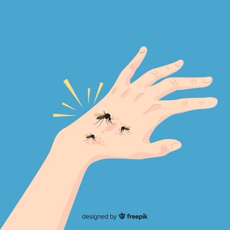 9. Комары важны для экосистемы. 10. Комары активны вечером и ночью. 11. Один комар весит от 1 до 5 мг. 12. Комары обладают инфракрасным зрением. 13.-2