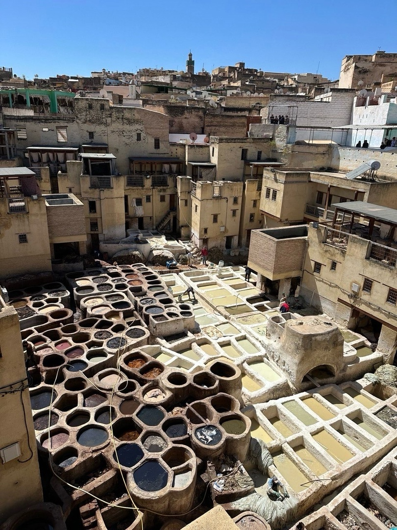 красильная Шуара