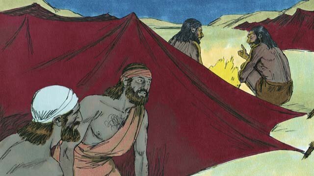 Добавьте описание