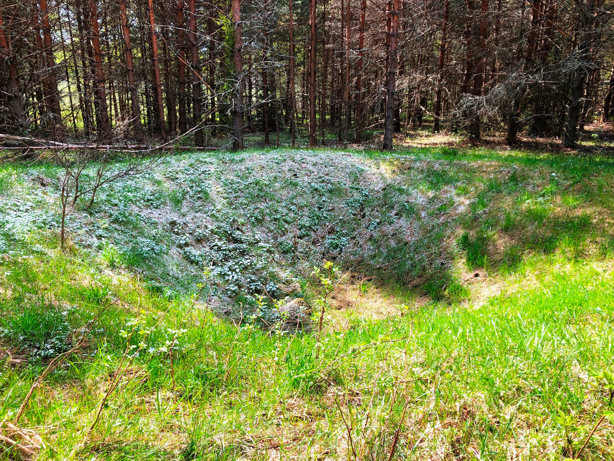  На этом месте, судя по косвенным данным, была перед Революцией 1917 года усадьба. В начале 20-ых годов, произошла трагедия, на усадьбу и ее хозяйку напали разбойники  из  соседней деревни. На сегодня от усадьбы остались только пруд, который заняли бобры и несколько глубоких домовых ям.  