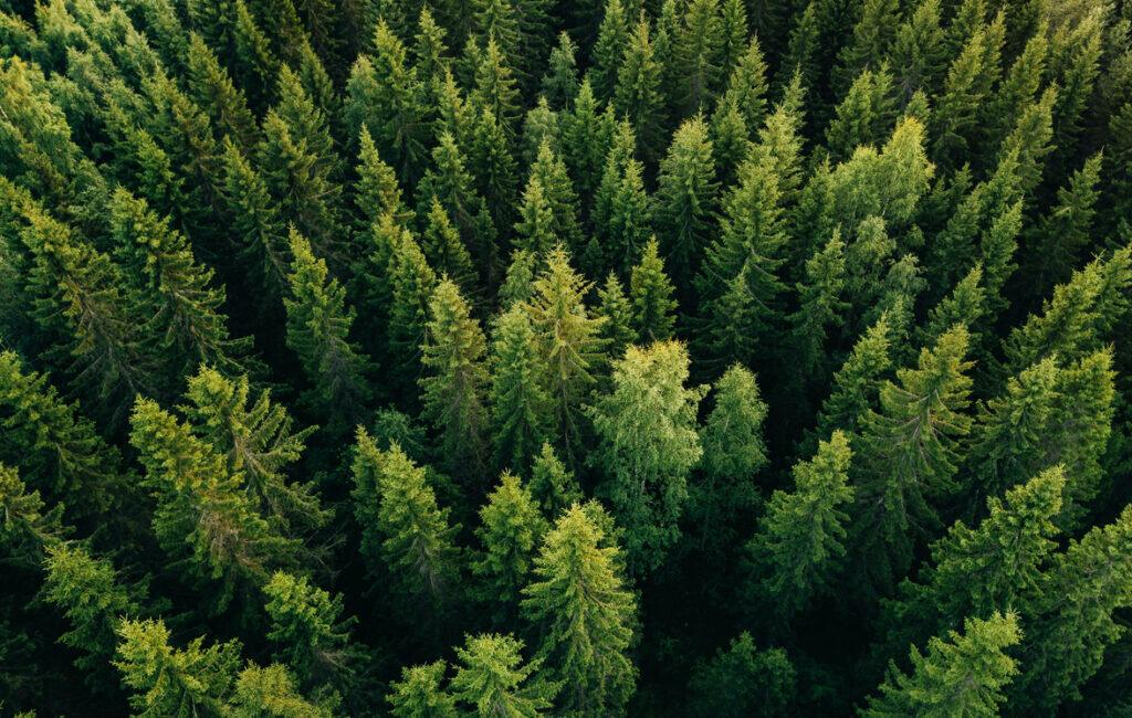 Фото: istockphoto.com