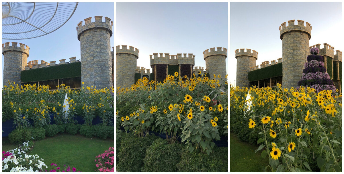 Dubai Miracle Garden