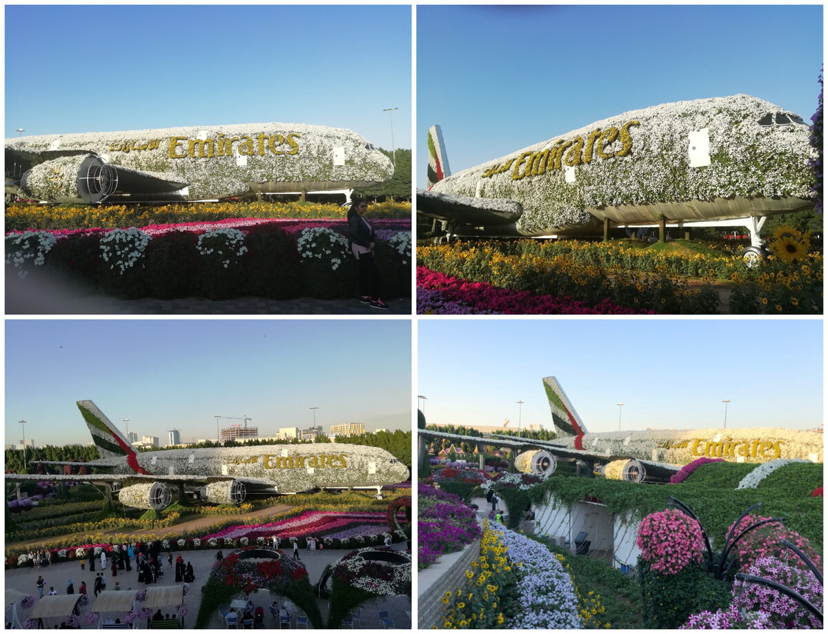 Dubai Miracle Garden