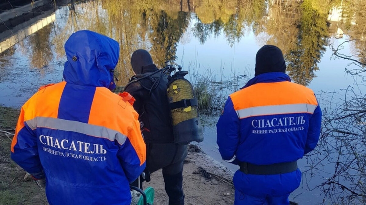 Машина с пятью подростками упала в реку с моста под Петербургом | ВЕСТИ |  Дзен