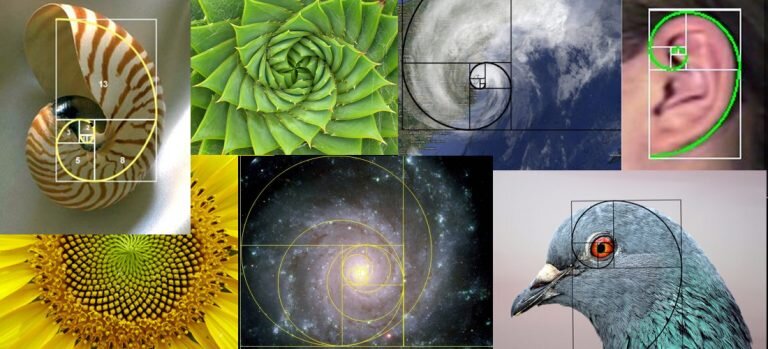 Спираль Фибоначчи как основополагающий принцип мироустройства