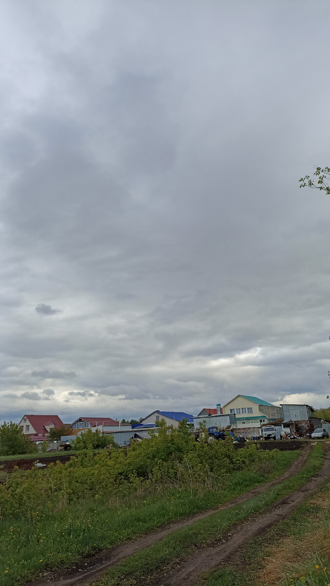 Воскресное небо. 