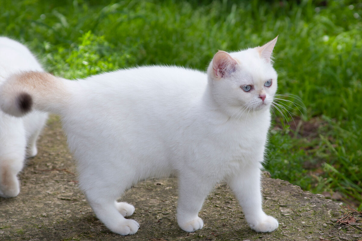 Возраст на фото: 4 месяца 28 дней