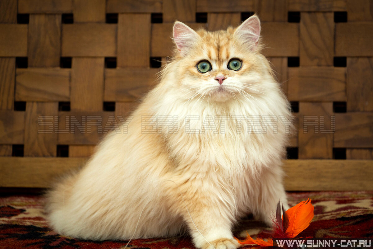 Возраст на фото: 4 месяца 22 дня