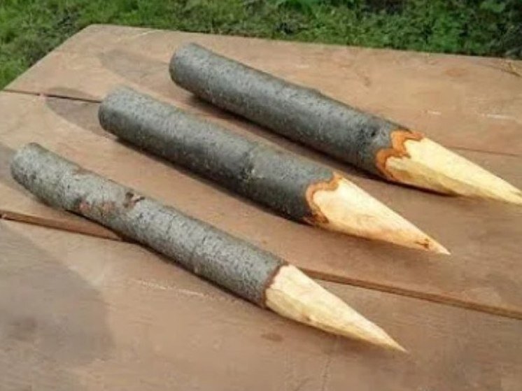     Осиновый кол предлагают разные «производители», а цена начинается от 96 рублей и «переваливает» за тысячу. Фото: скриншот видео YouTube