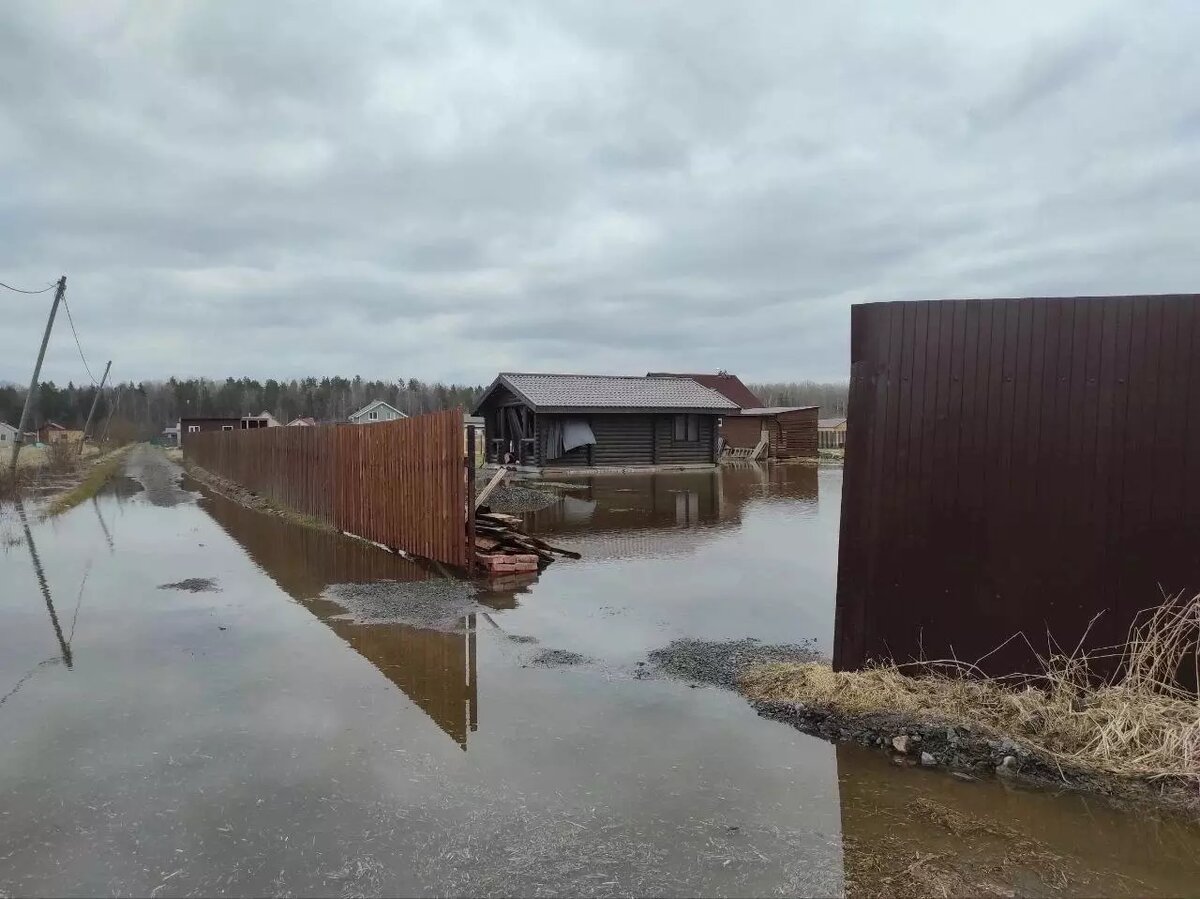 Неделю живём в кошмаре»: деревня в Карелии продолжает уходить под воду |  Новости Карелии | Karelinform.ru | Дзен