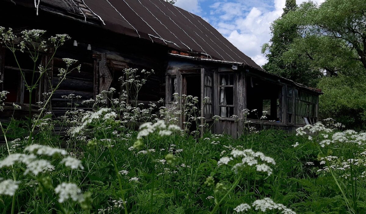 Невероятная находка на чердаке заброшенного дома. | Ctrannik| Пора в  дорогу. | Дзен