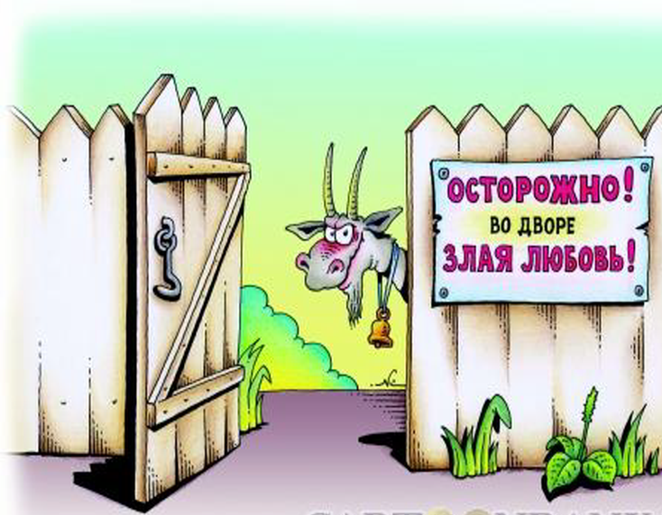 карикатура Игорь Кийко (изображение yandex.ru/images)