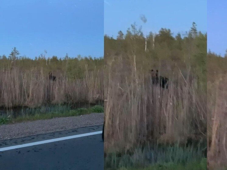     Фото: Елизавета Мичурова