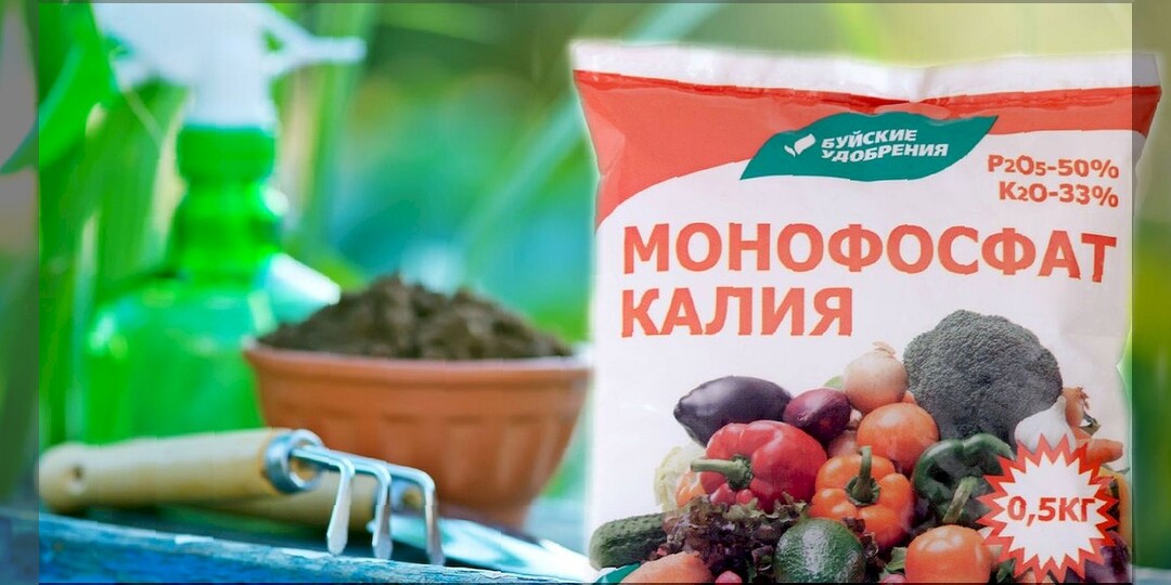Монофосфат калия: как правильно использовать монофосфат калия и чем его можно заменить без потери эффективности
