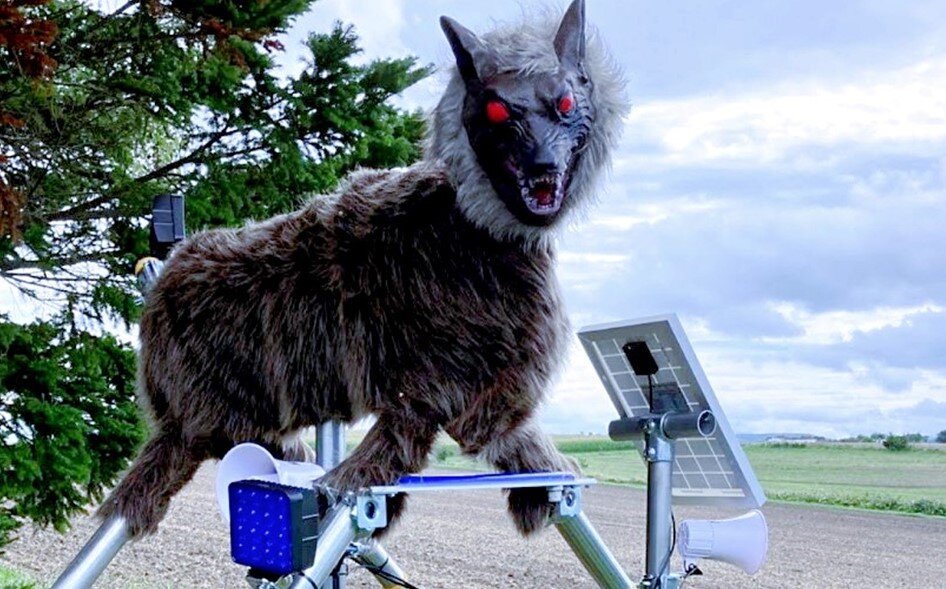 Фото: Toru Yamanaka