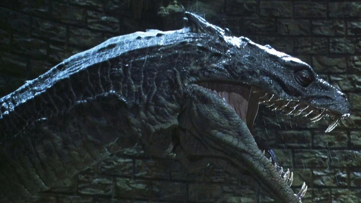 Изображение взято из открытого источника