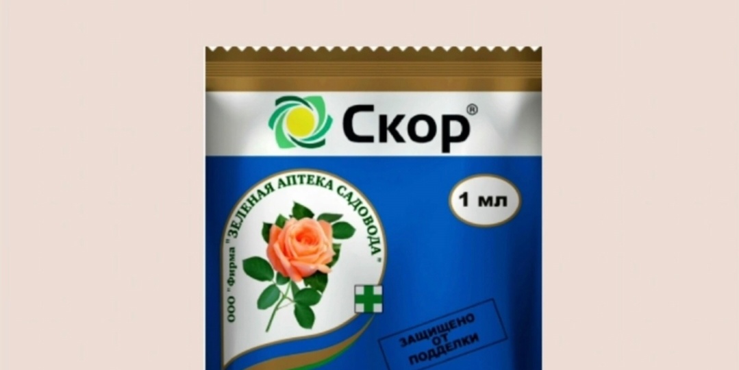 Фунгициды для орхидей и не только (виды и дозировка)