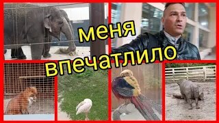 Ростов на Дону 🥰Зоопарк меня впечатлил👍