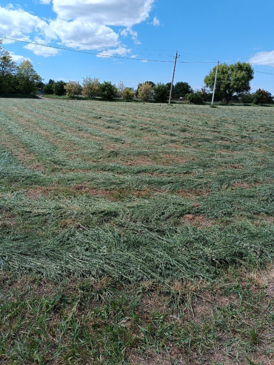 Скосили сено