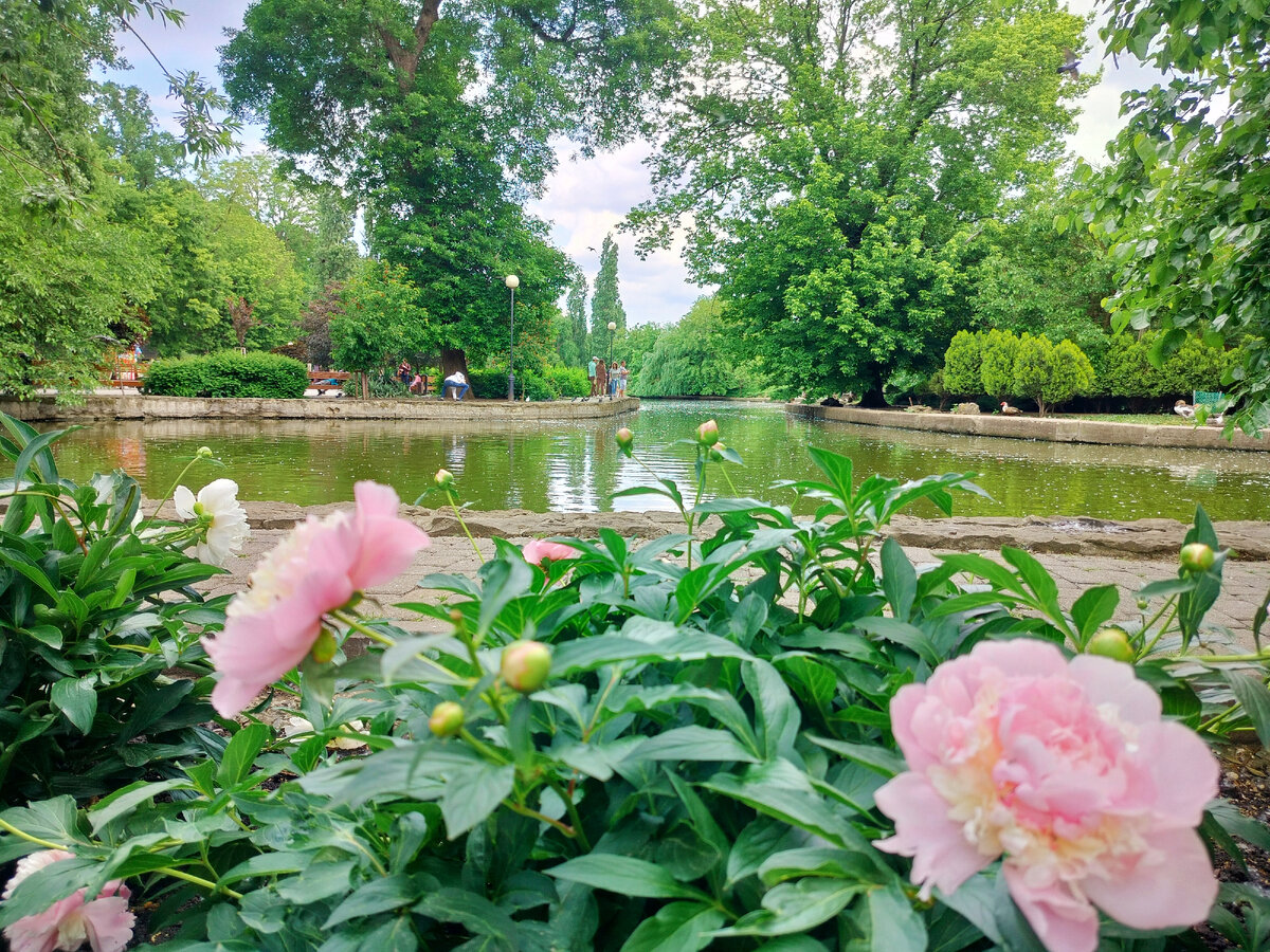 Южный город России