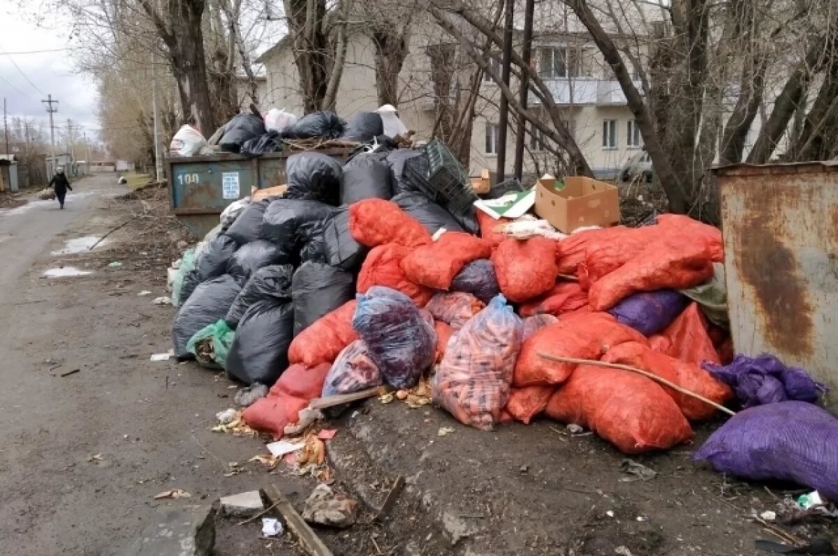    Головы коров нашли в мусорных баках жители Хилокской в Новосибирске