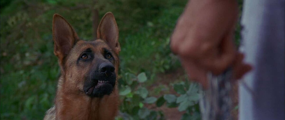 Кадр из фильма "Зловещая луна" (1996)