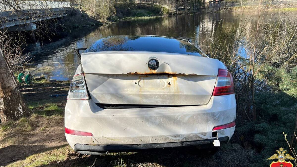 Автомобиль с пятью подростками съехал в реку под Петербургом, двое погибли  | Вечерняя Москва | Дзен