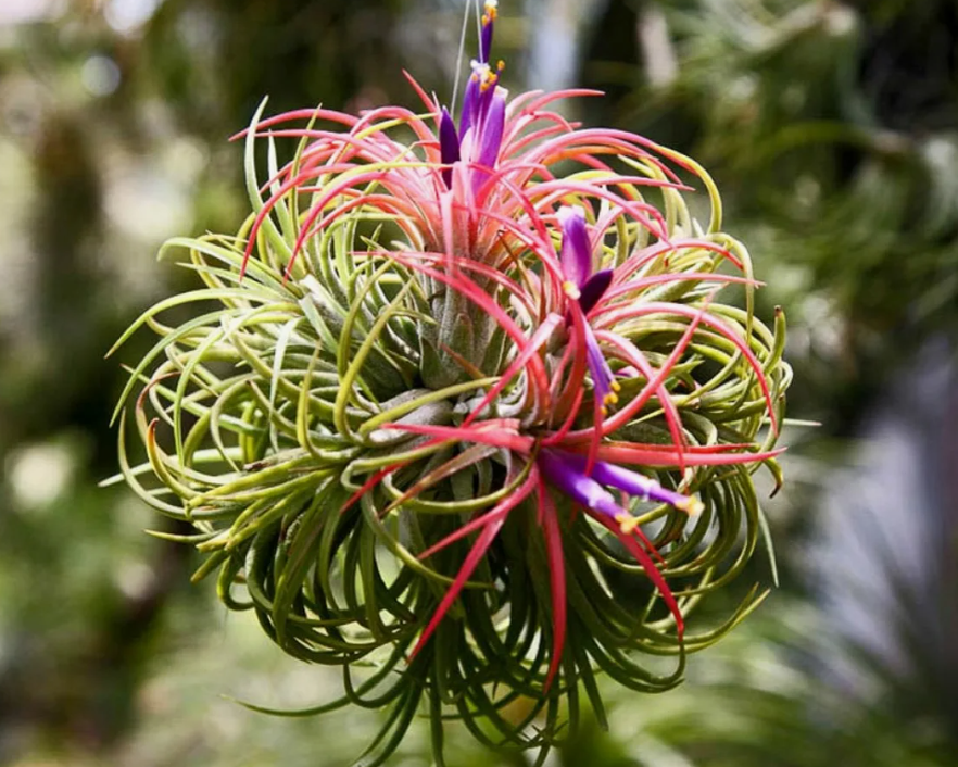 Из открытых источников 